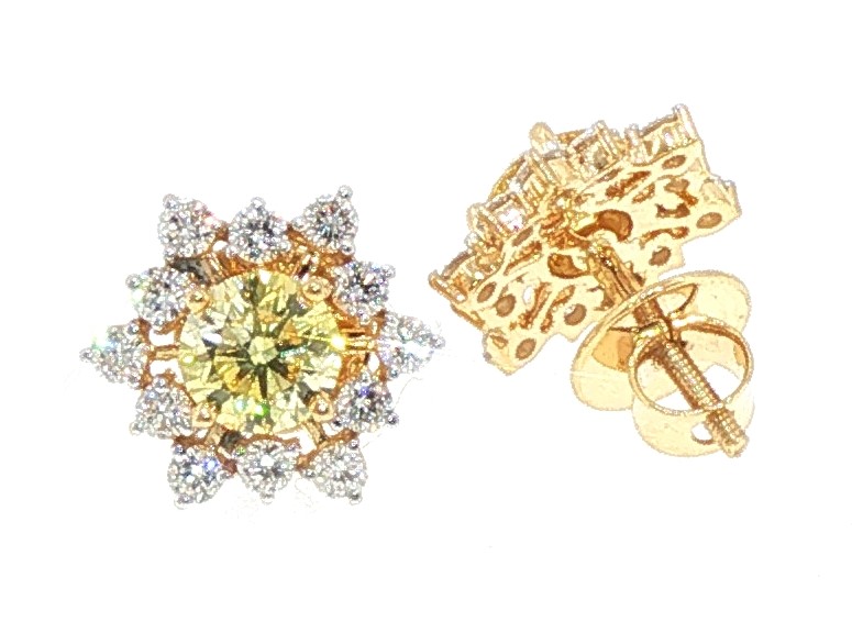 Earring - ELER0758